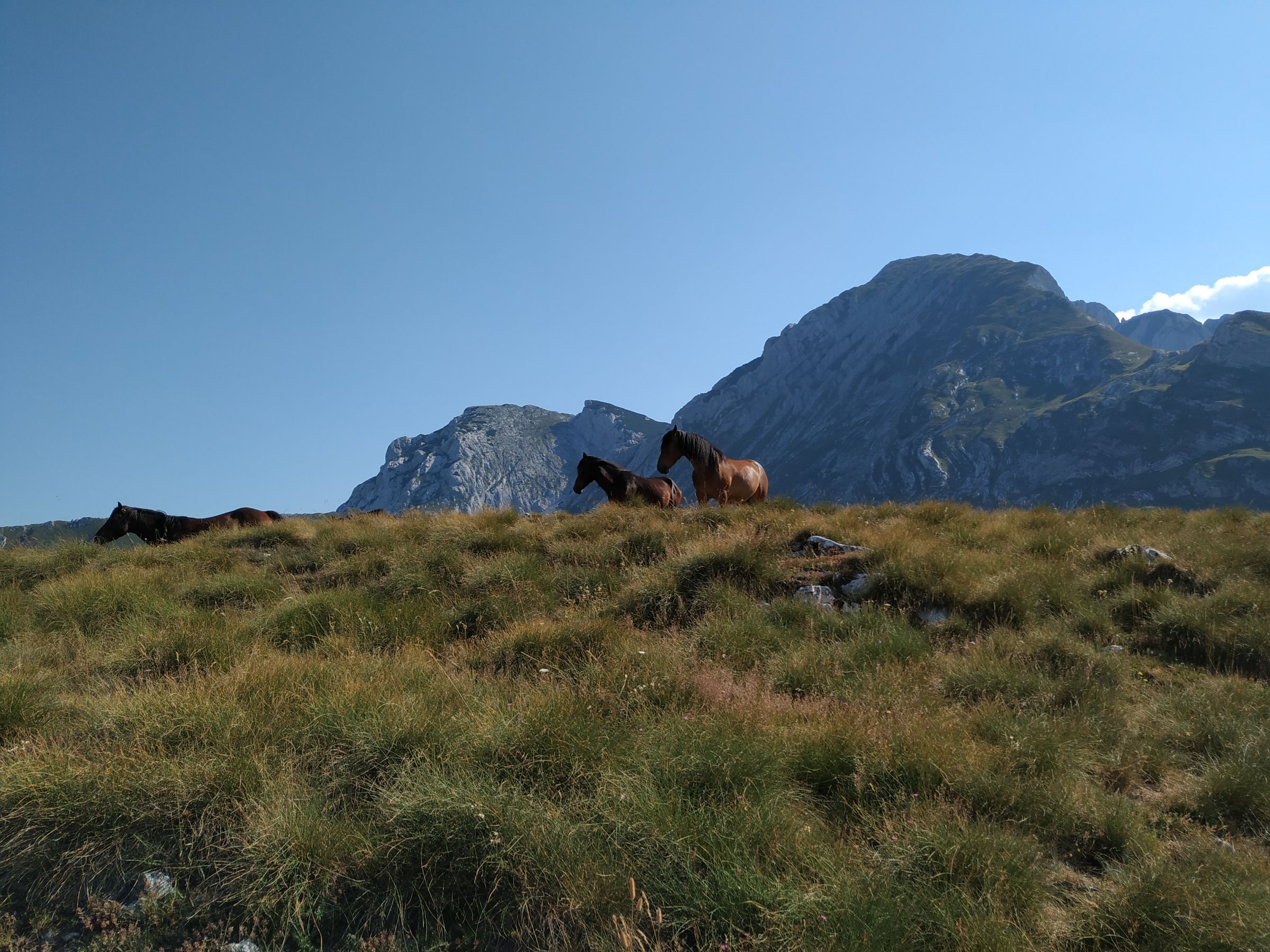Best Time to Visit Montenegro for Adventure